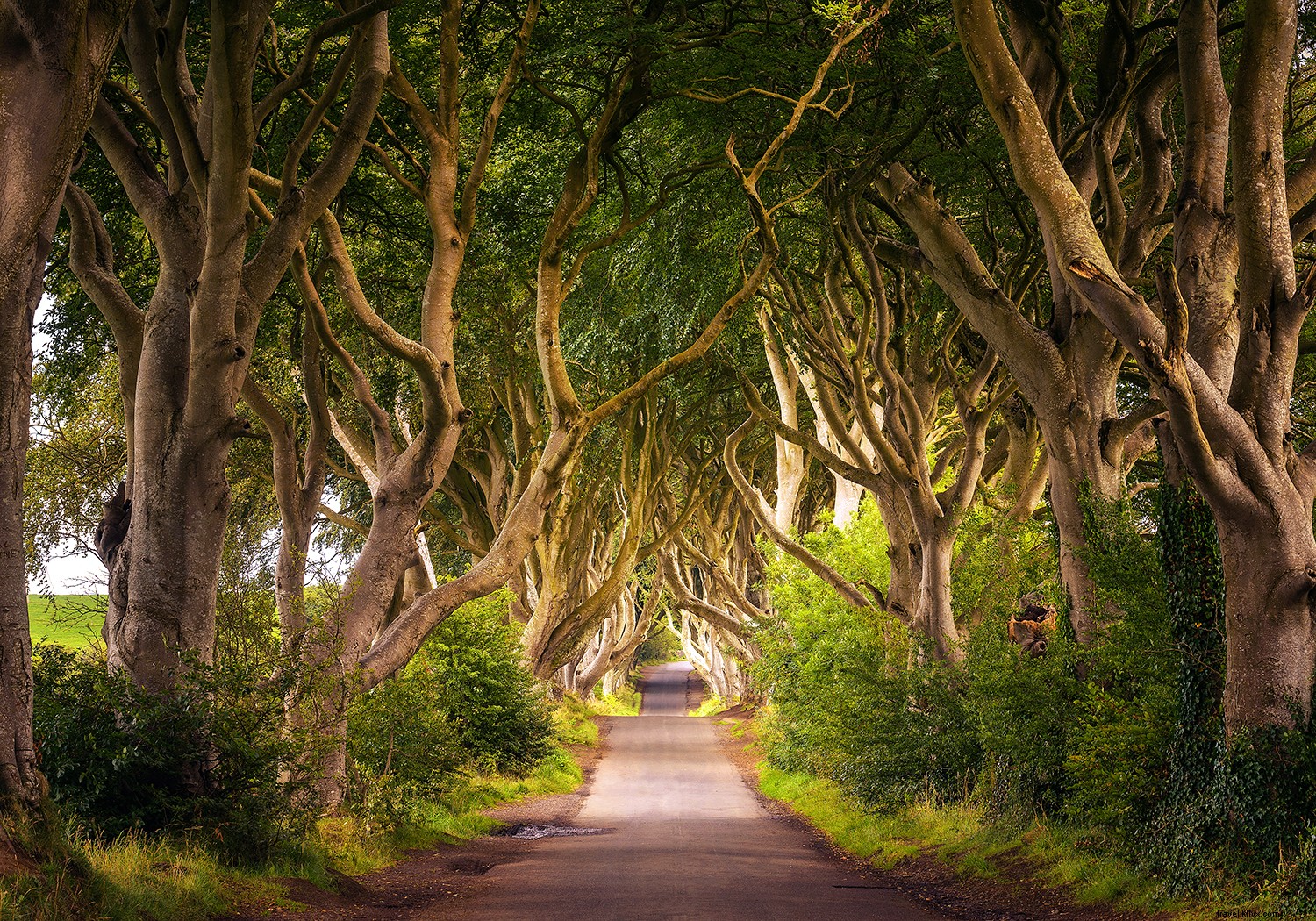 Why Now Is the Perfect Time to Book Your Trip to Ireland