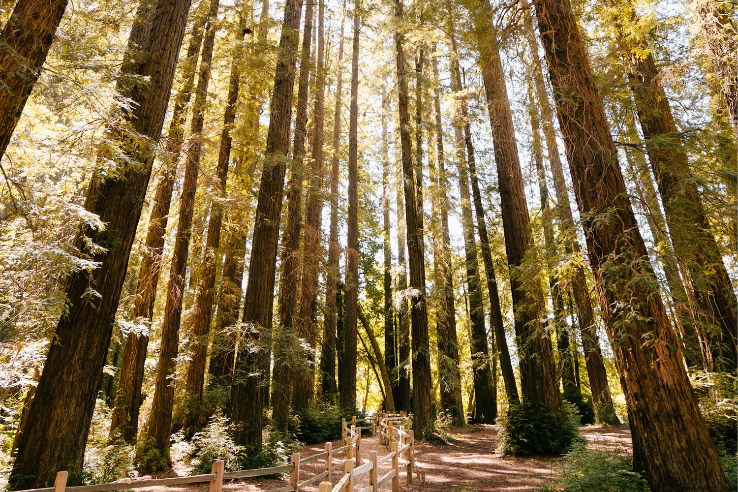 Why Sonoma County is Your Perfect Getaway Destination Right Now