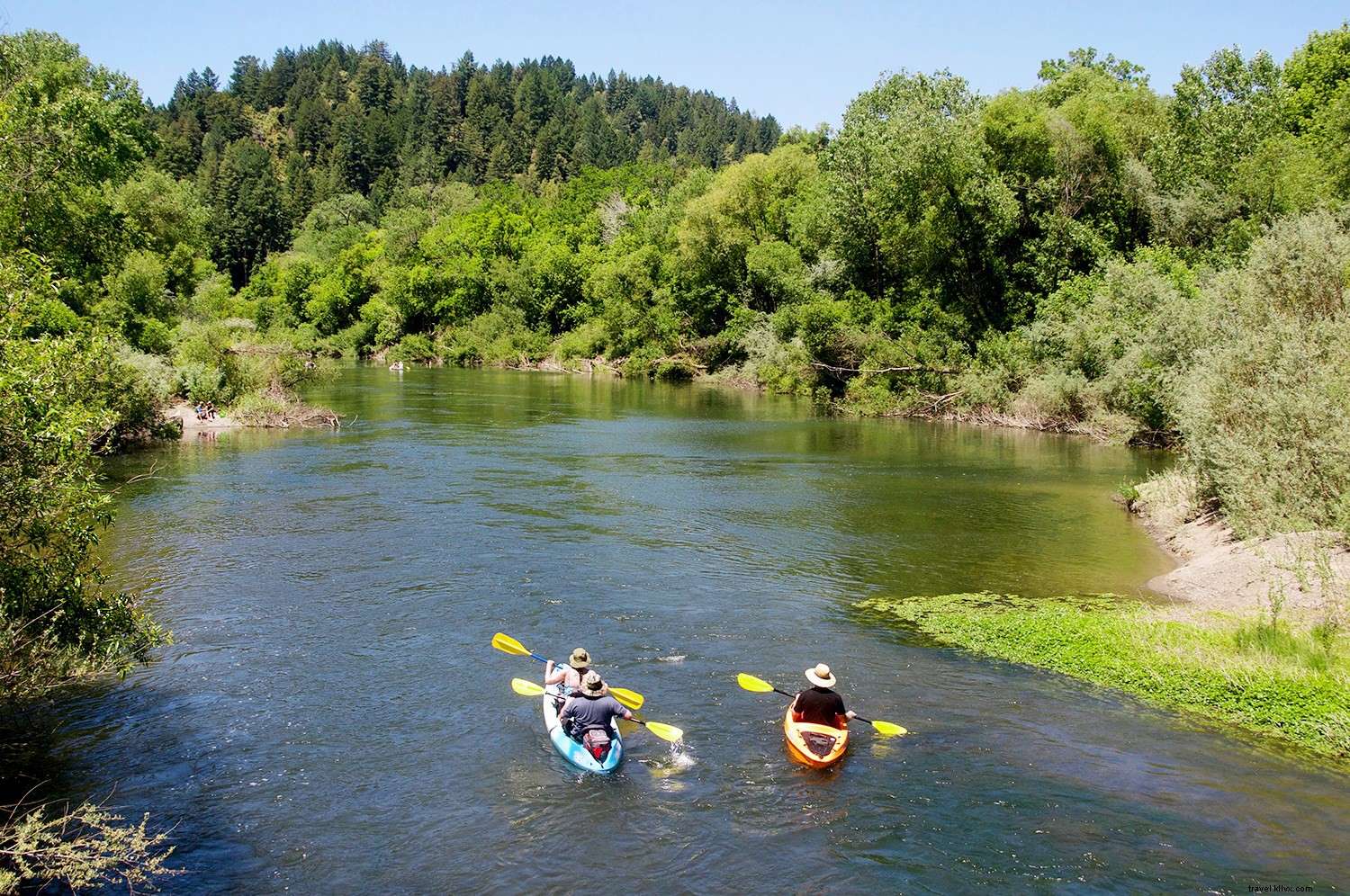 Why Sonoma County is Your Perfect Getaway Destination Right Now