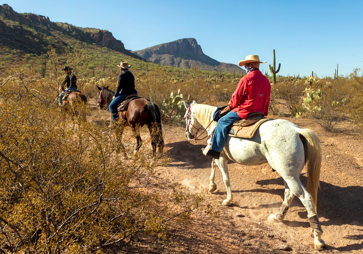 Discover Tucson s Lush Fall Paradise: Top Trails, Waterfalls, and Nature Experiences Post-Monsoon