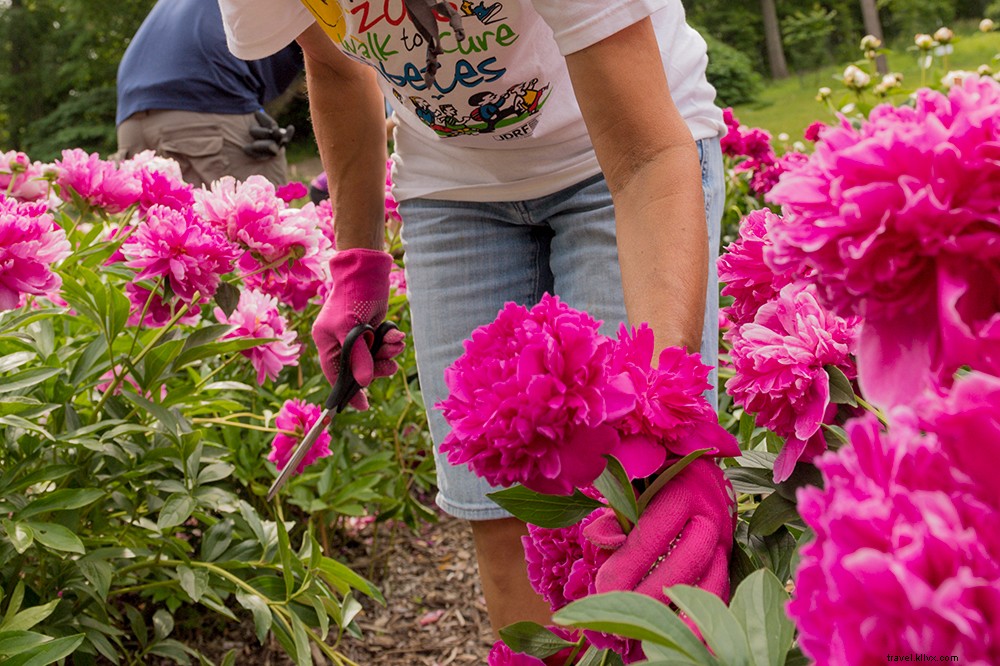 Discover Ann Arbor, Michigan: Arts, Culinary Delights, Nature, and University Spirit