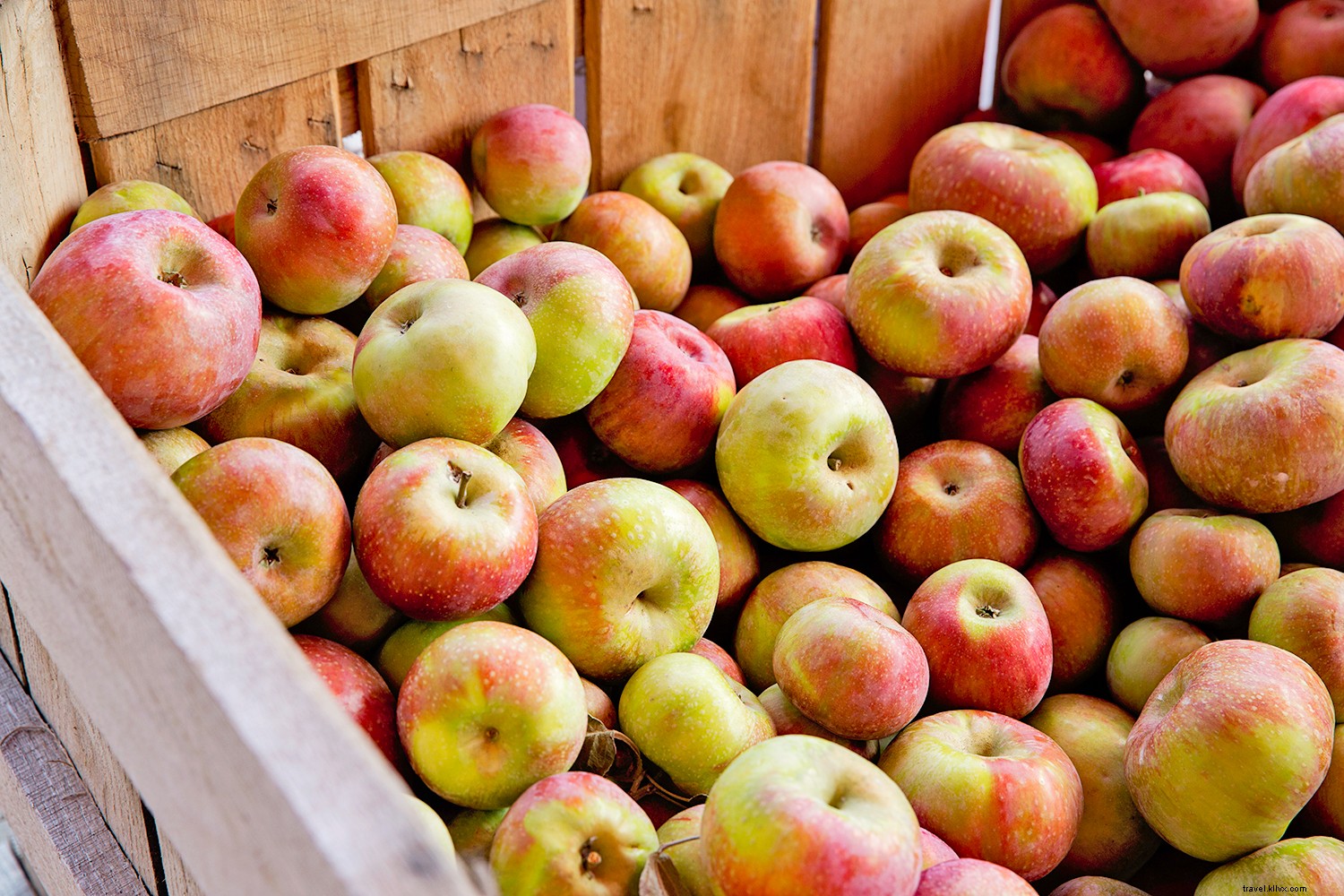 8 Iconic West Virginia Foods Every Traveler Must Taste