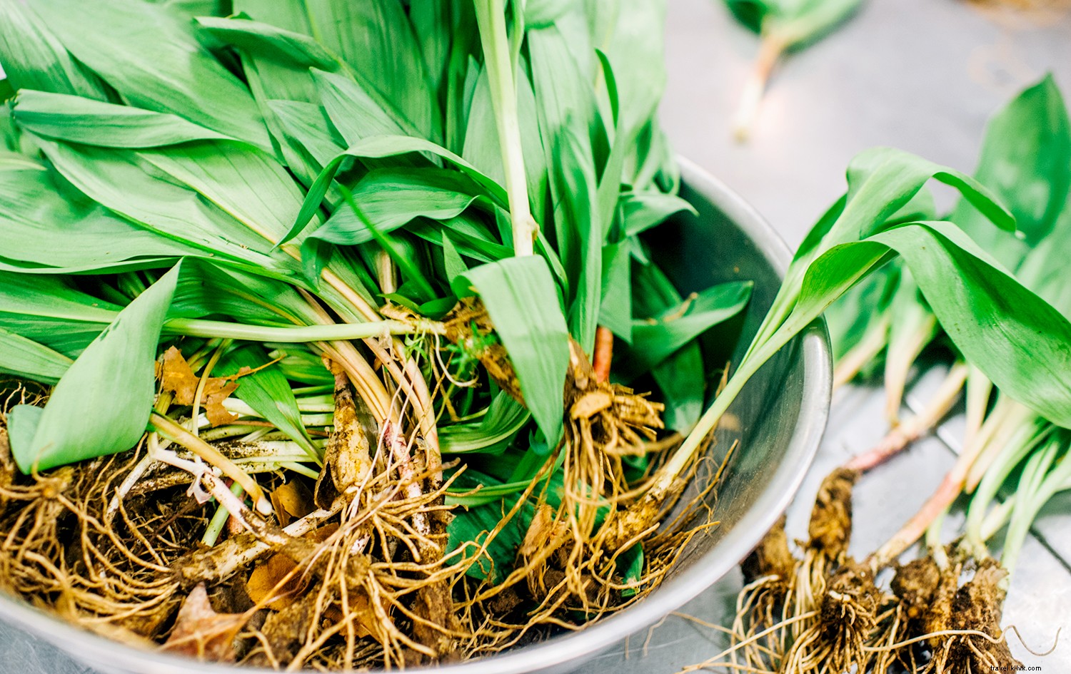 8 Iconic West Virginia Foods Every Traveler Must Taste