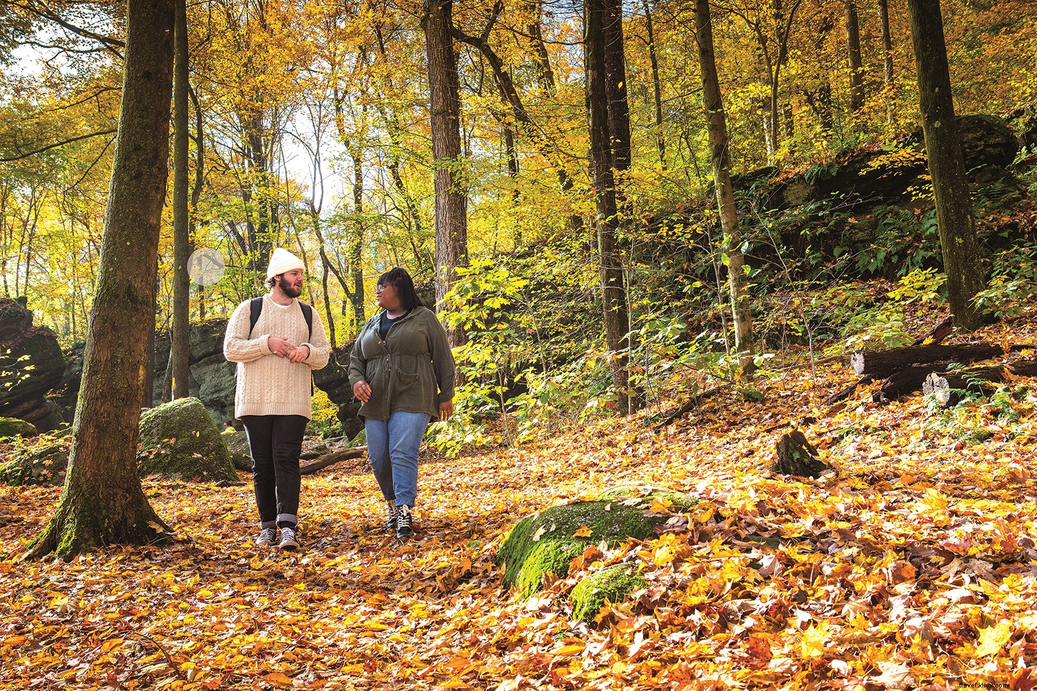 Discover Ohio s Best Fall Foliage Getaways: State Parks, Cabins & Luxury Lodges