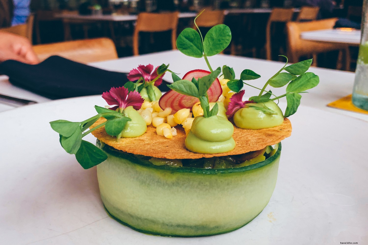 Best Day Trips from Houston: Explore Texas Cities and Hidden Gems