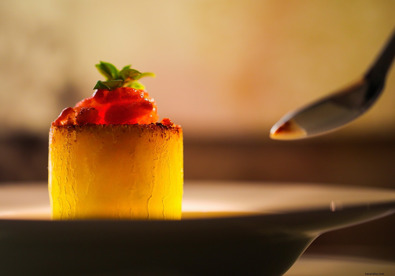 Best Day Trips from Houston: Explore Texas Cities and Hidden Gems