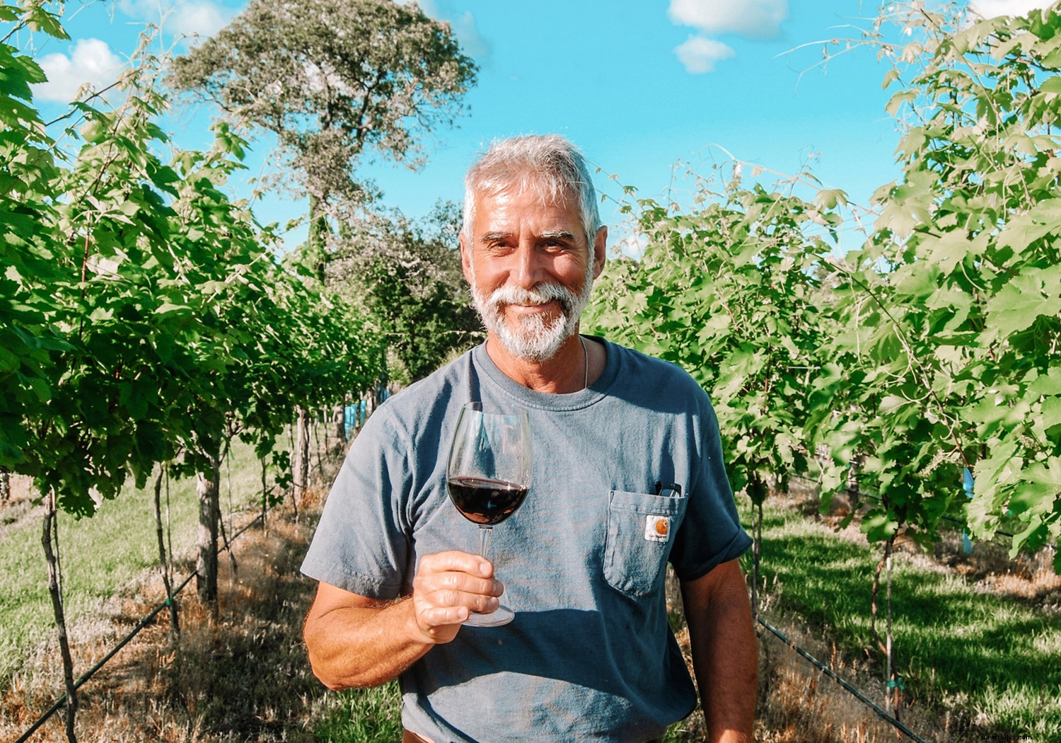 Best Day Trips from Houston: Explore Texas Cities and Hidden Gems