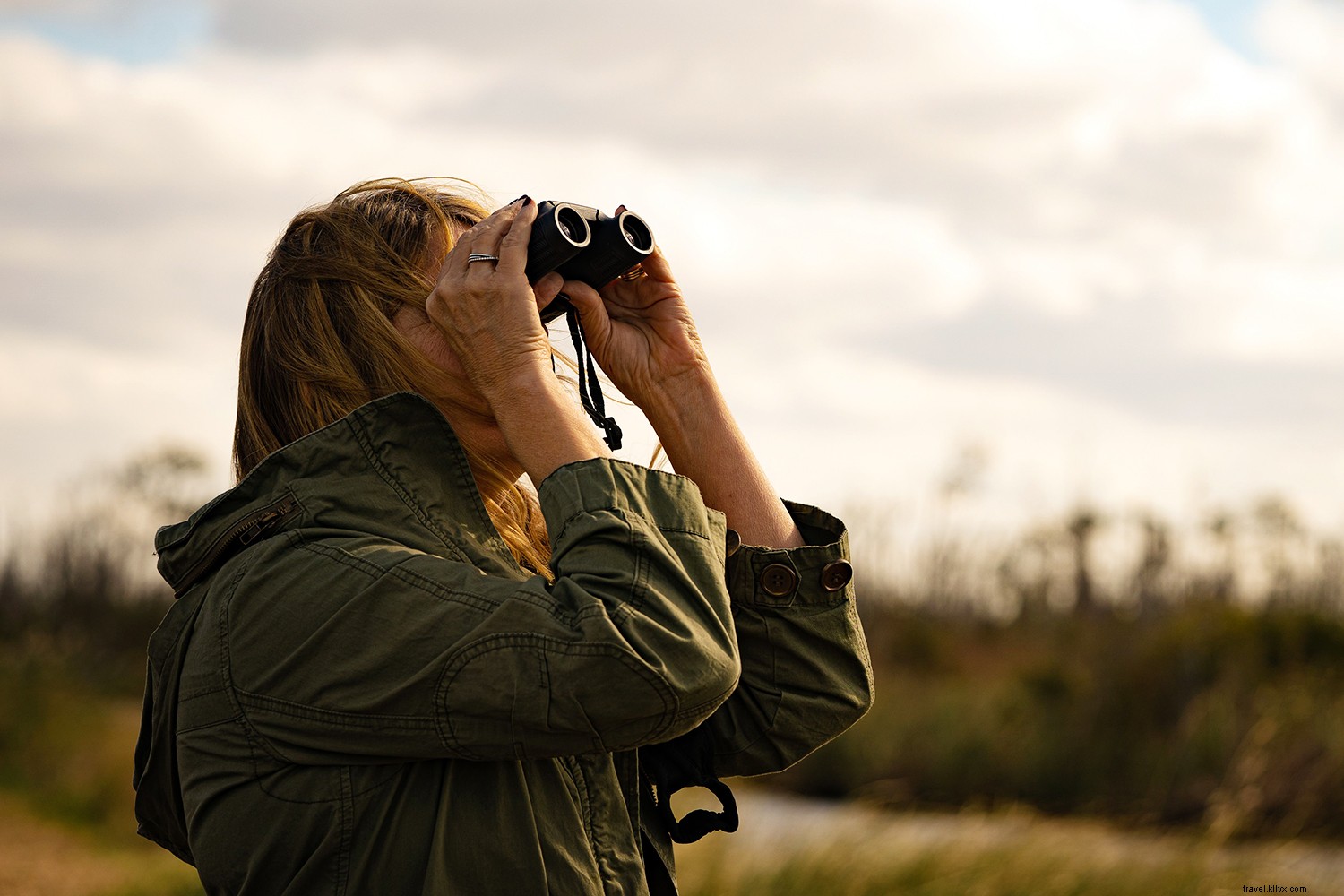 5 Compelling Reasons to Visit the Outer Banks in Fall: North Carolina s Premier Beach Destination