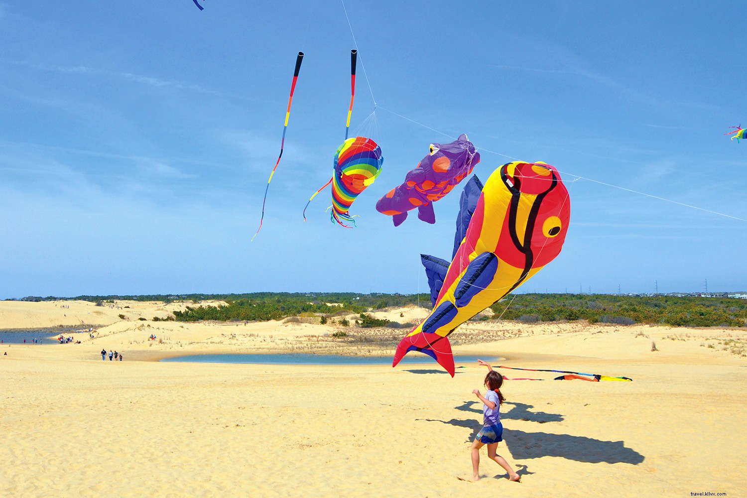 5 Compelling Reasons to Visit the Outer Banks in Fall: North Carolina s Premier Beach Destination