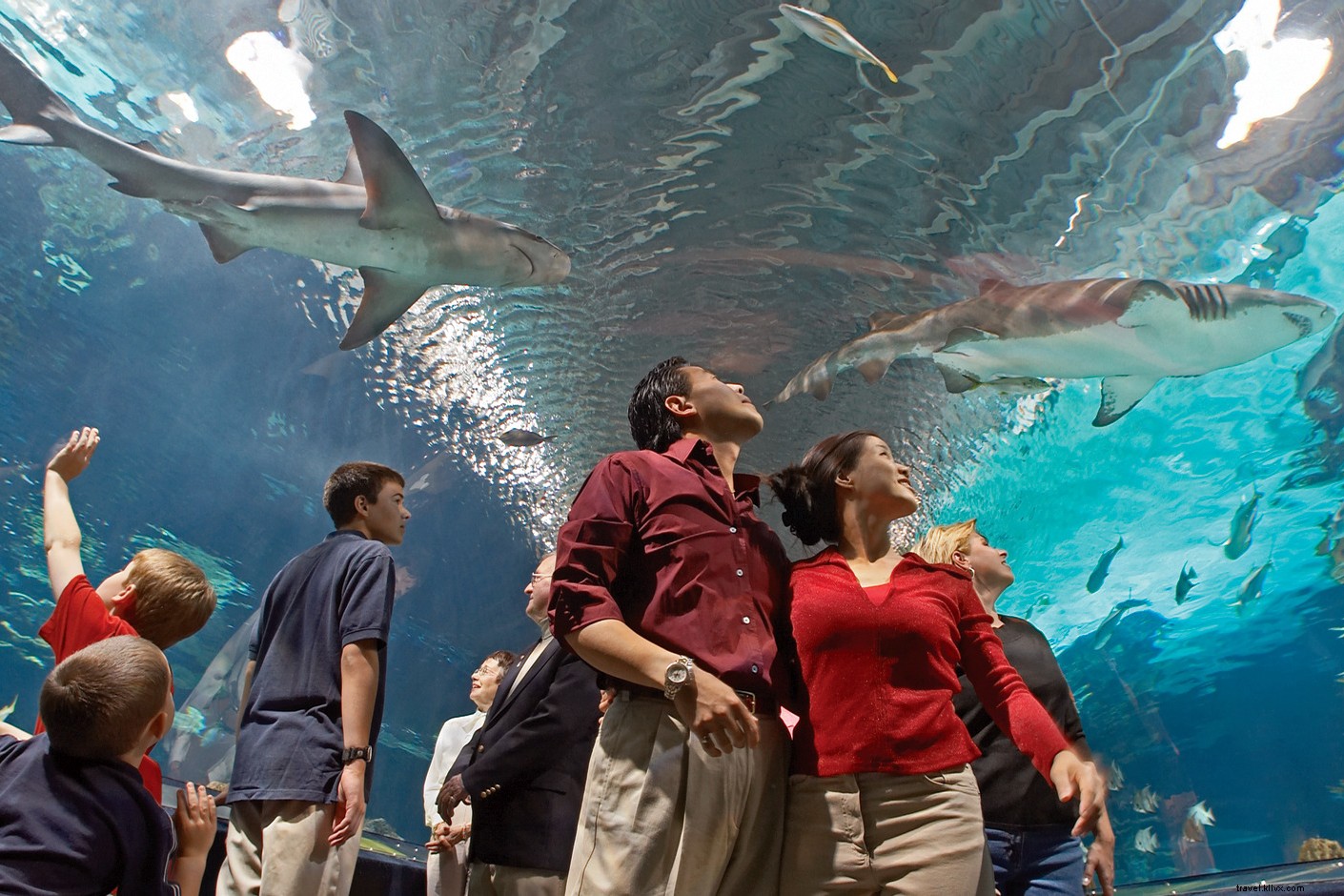 That s the Spirit of Kentucky: Ultimate Bourbon Distillery Road Trip Guide