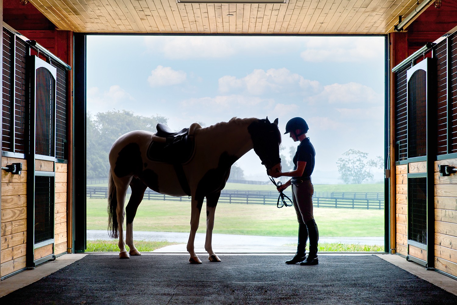 Virginia’s Premier Fall Trails: Wine Tasting, Horseback Riding, Scenic Drives & Music Heritage