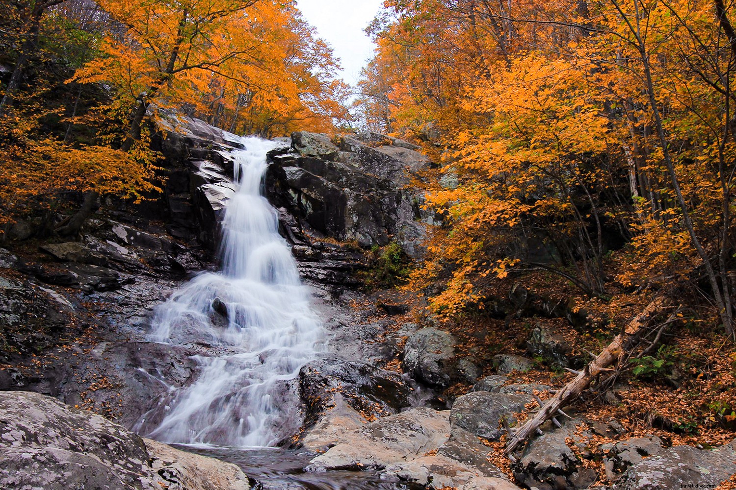 Virginia’s Premier Fall Trails: Wine Tasting, Horseback Riding, Scenic Drives & Music Heritage