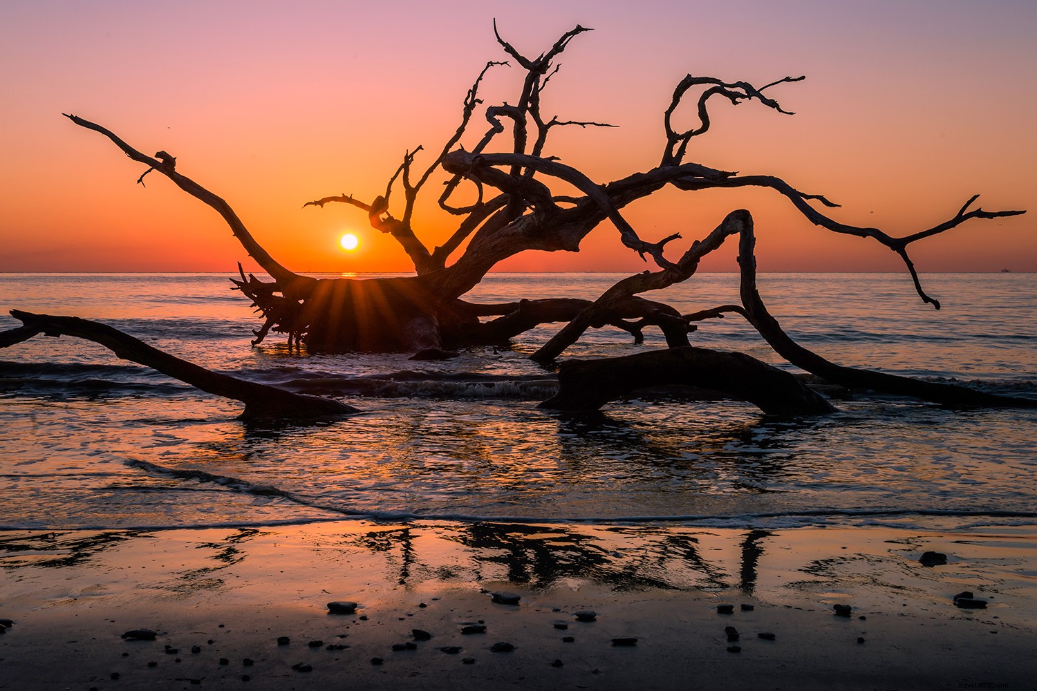 Golden Isles of Georgia: Your Year-Round Summer Paradise