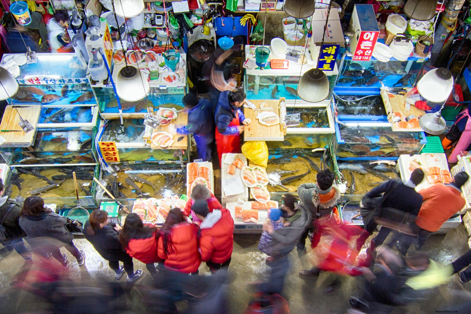 Why South Korea Exceeds Expectations: Top Experiences Across Iconic Regions