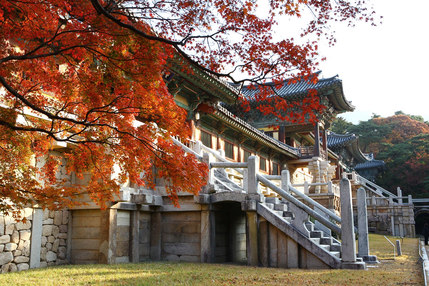 Why South Korea Exceeds Expectations: Top Experiences Across Iconic Regions