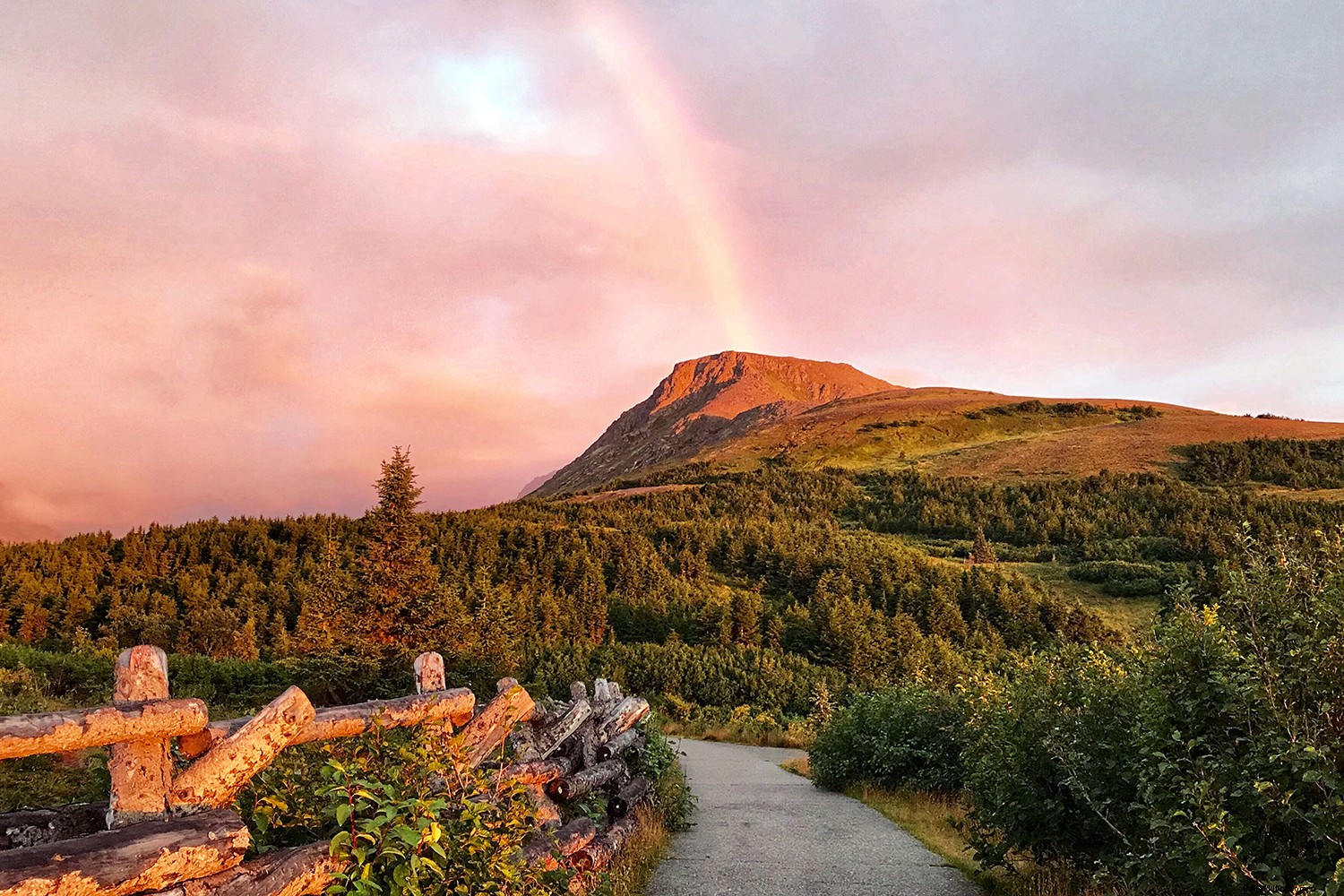 Epic Summer in Anchorage: Midnight Sun Adventures and Local Gems