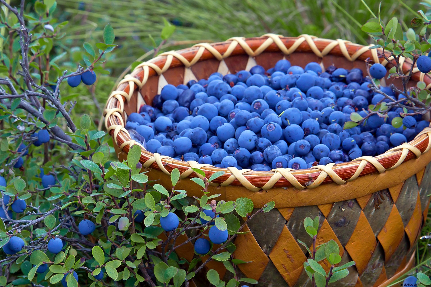 Epic Summer in Anchorage: Midnight Sun Adventures and Local Gems