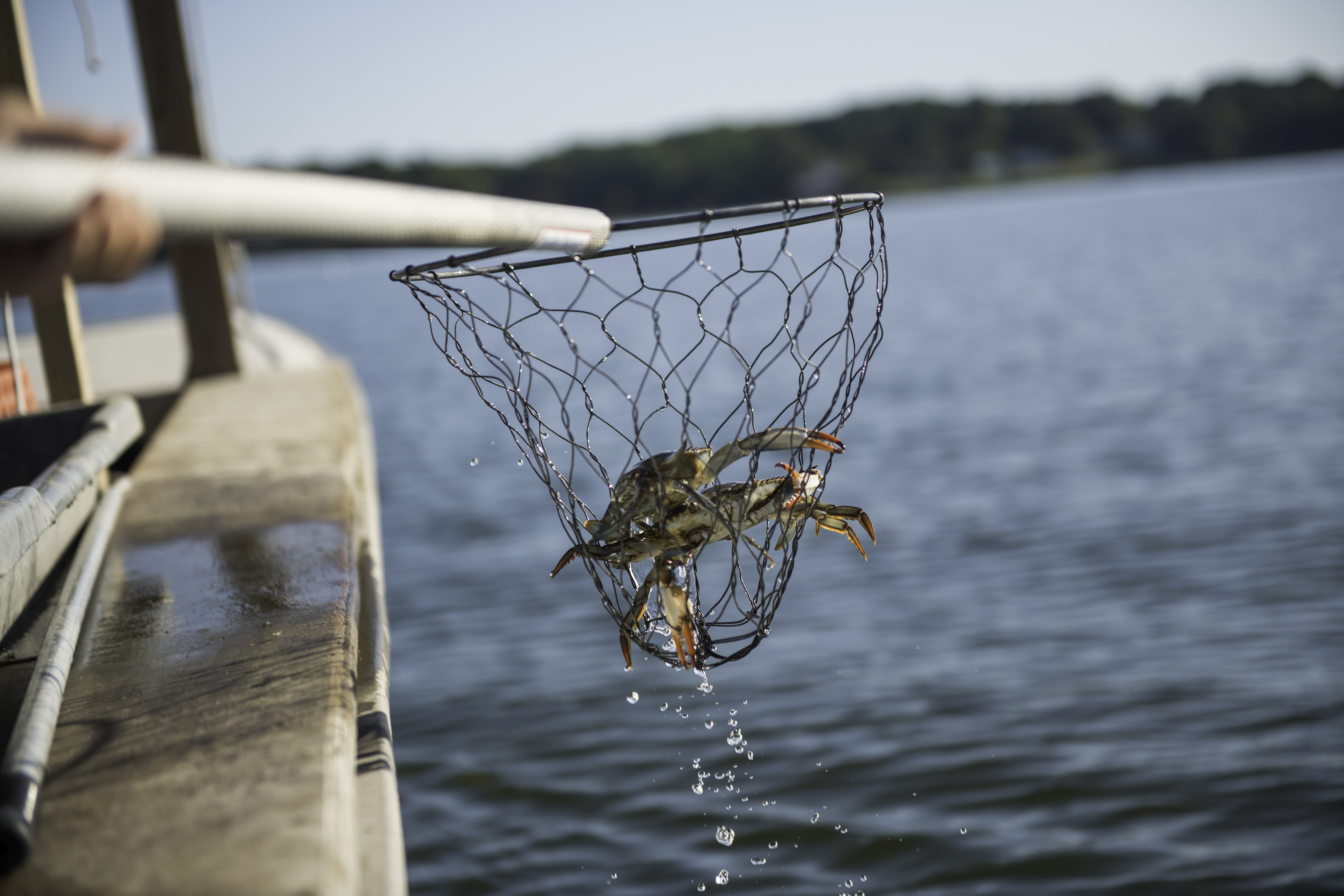 Unlock Peak Vacation Mode in Maryland: Beaches, Crabs, History & Outdoor Adventures