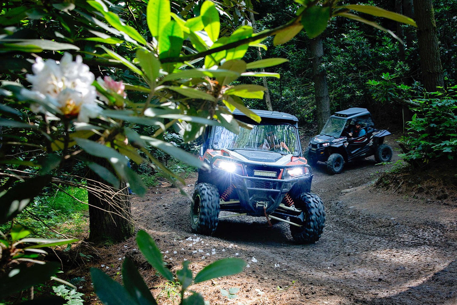 Hatfield-McCoy Trails West Virginia: Ultimate Guide to ATV Adventures in Trail Heaven