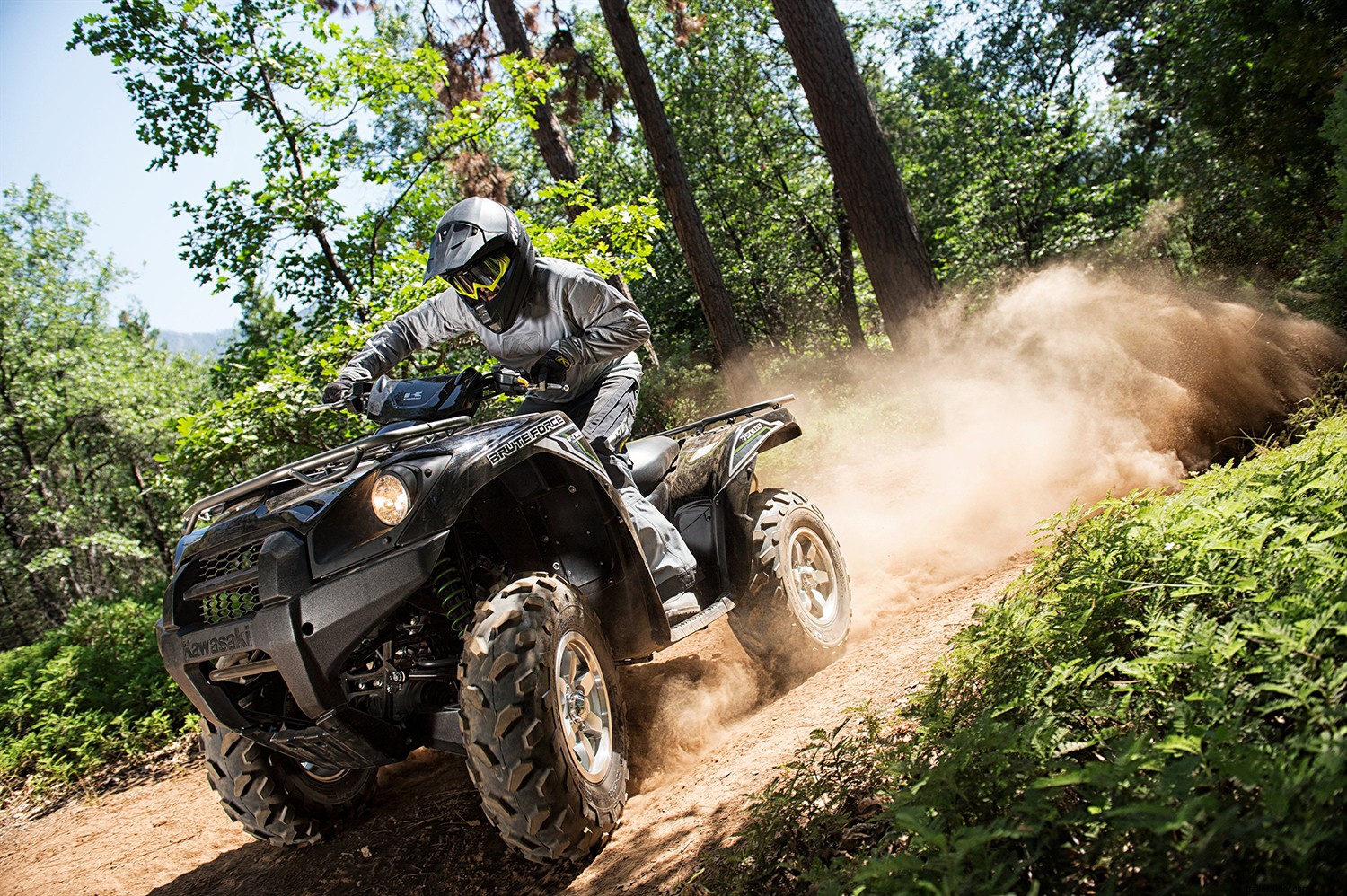 Hatfield-McCoy Trails West Virginia: Ultimate Guide to ATV Adventures in Trail Heaven
