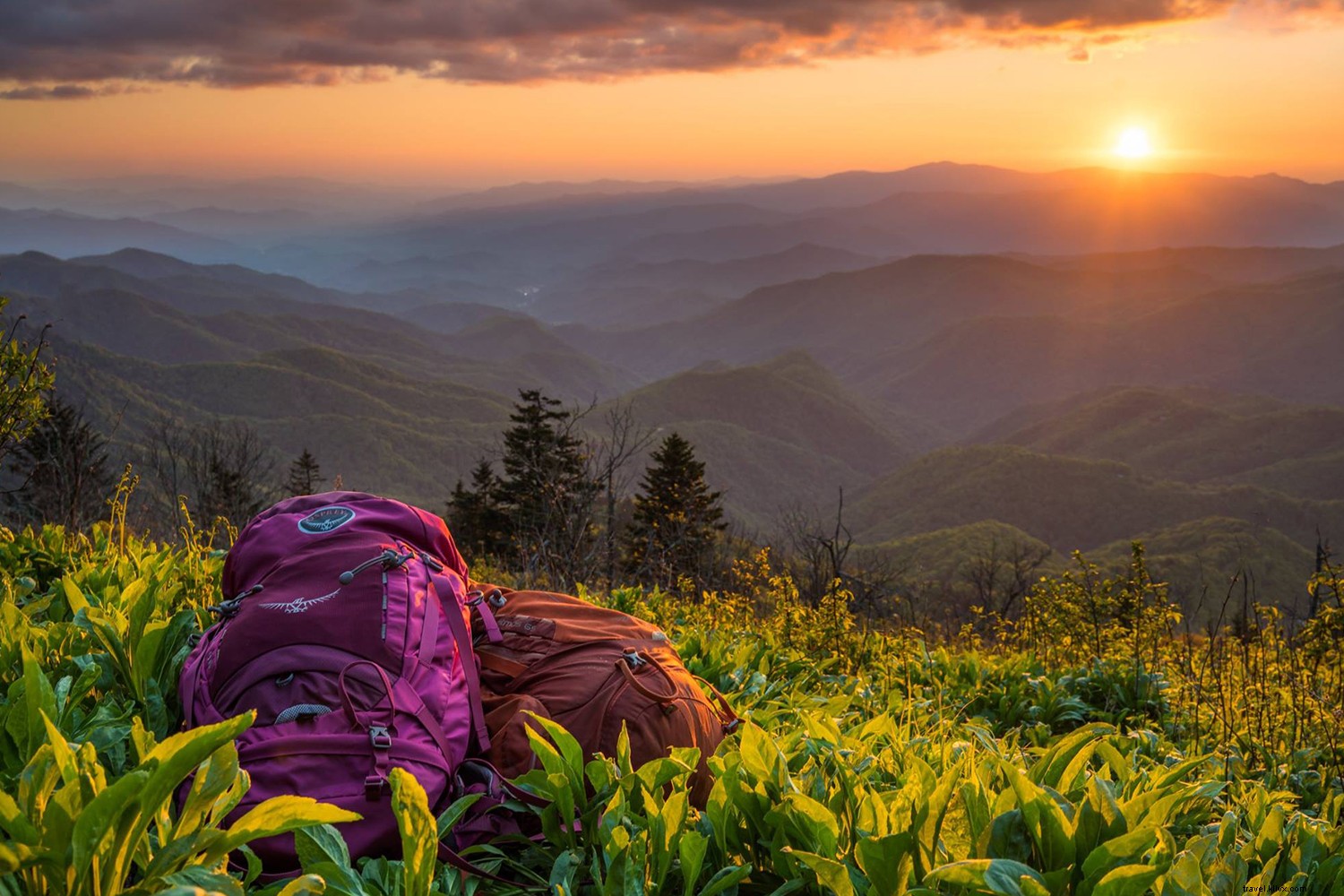Discover Haywood County: North Carolina’s Hidden Appalachian Treasure