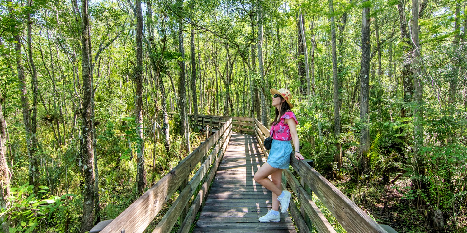 Discover the Untouched Charms of Fort Myers & Sanibel Beaches: A Unique Florida Escape