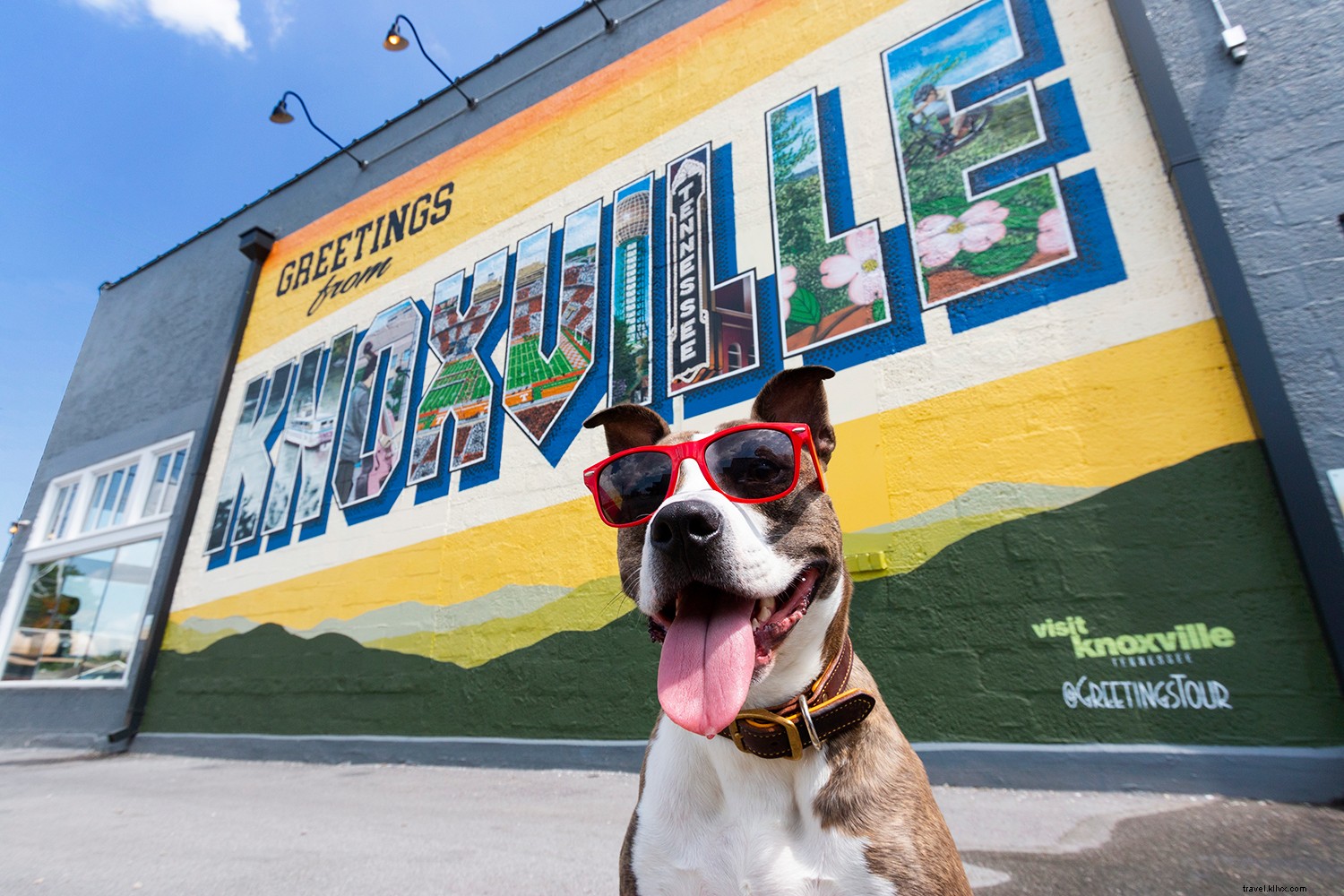 Experience Knoxville: The Ultimate Summer Adventure Destination