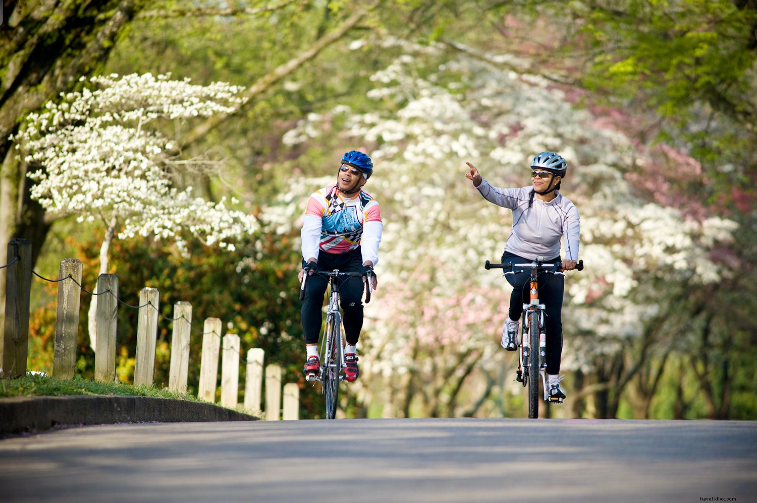 Experience Knoxville: The Ultimate Summer Adventure Destination