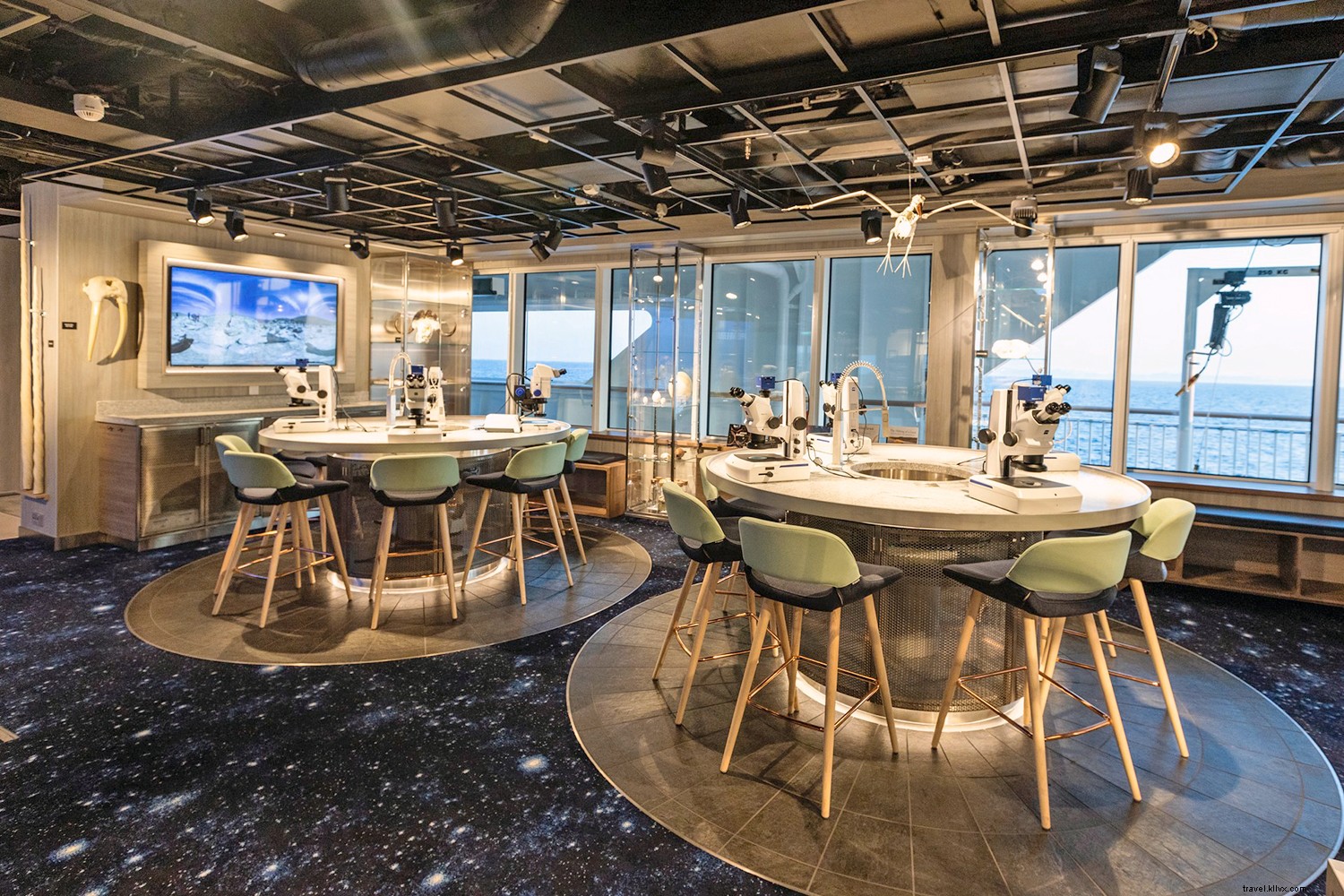 Cruise with a Conscience: Explore the Wild with Minimal Impact