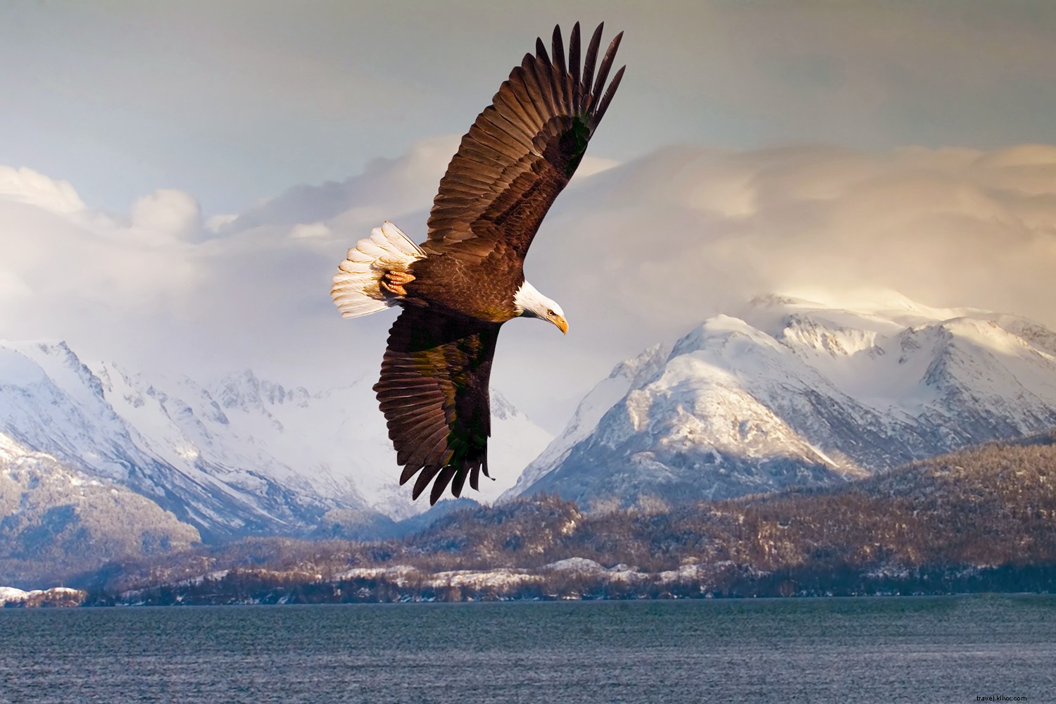 Cruise with a Conscience: Explore the Wild with Minimal Impact