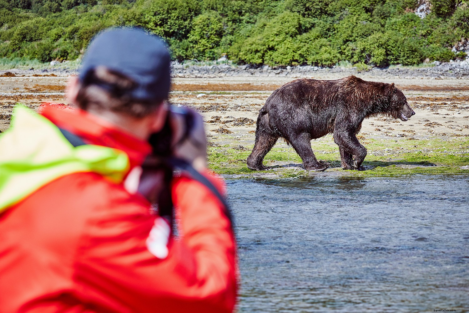 Cruise with a Conscience: Explore the Wild with Minimal Impact