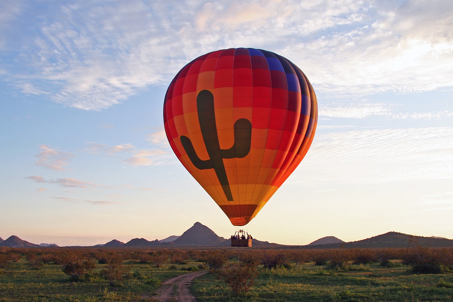 Discover Phoenix s Hidden Gems: Local Secrets for Outdoor Lovers, Culture Fans, Wellness Seekers & Foodies