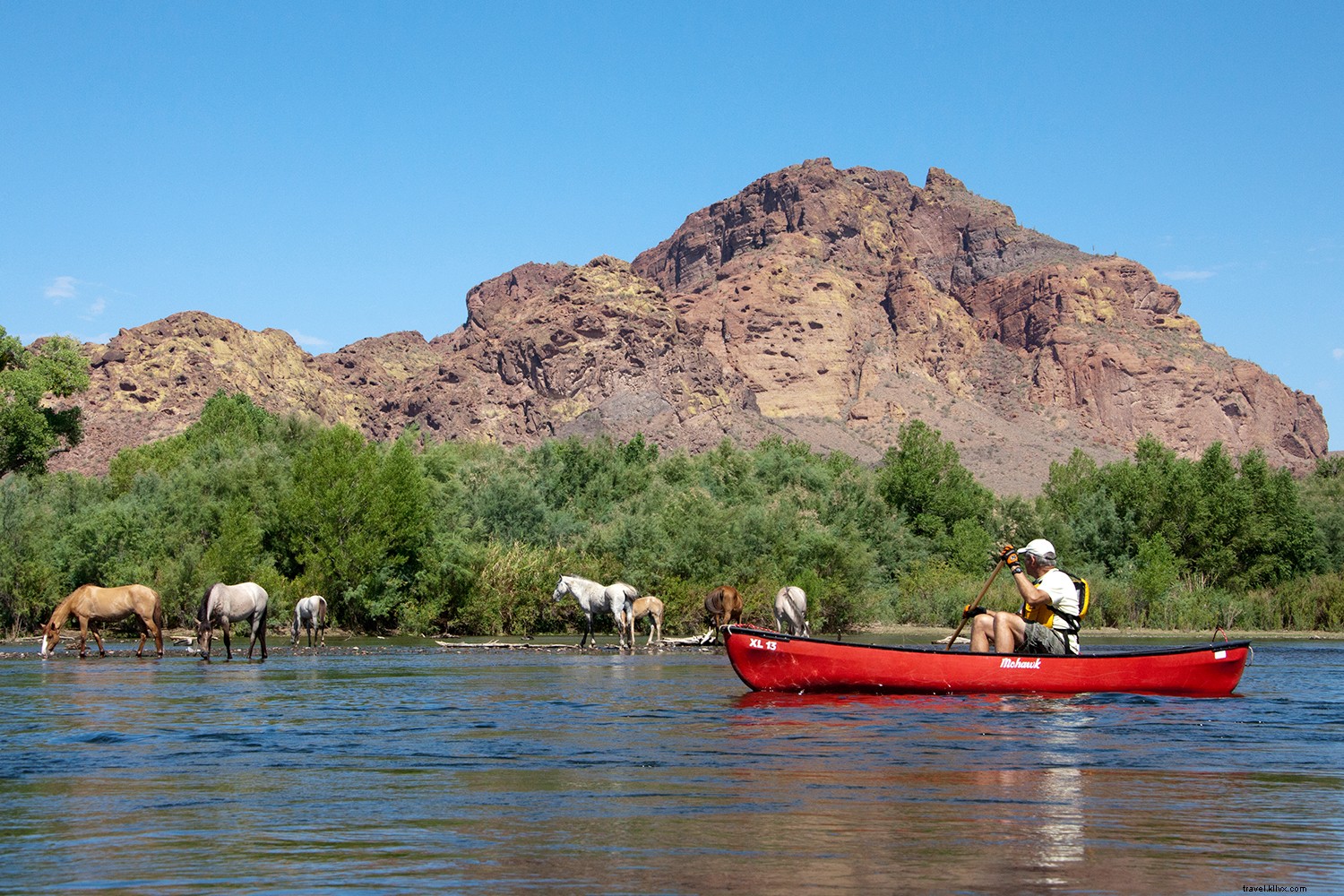 Discover Phoenix s Hidden Gems: Local Secrets for Outdoor Lovers, Culture Fans, Wellness Seekers & Foodies