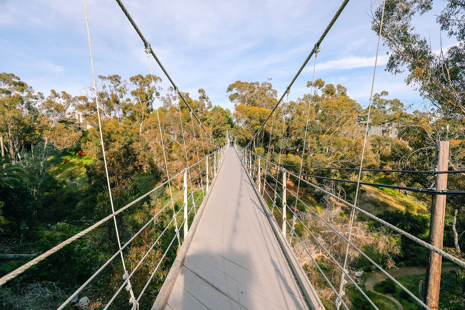 San Diego s Premier Outdoor Adventures: Hiking, Surfing, Kayaking & Sky-High Thrills