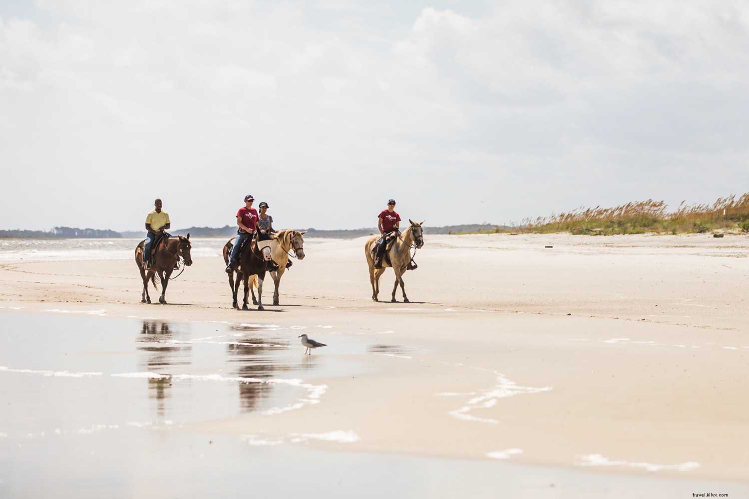 Why Amelia Island is Florida s Premier Hidden Gem