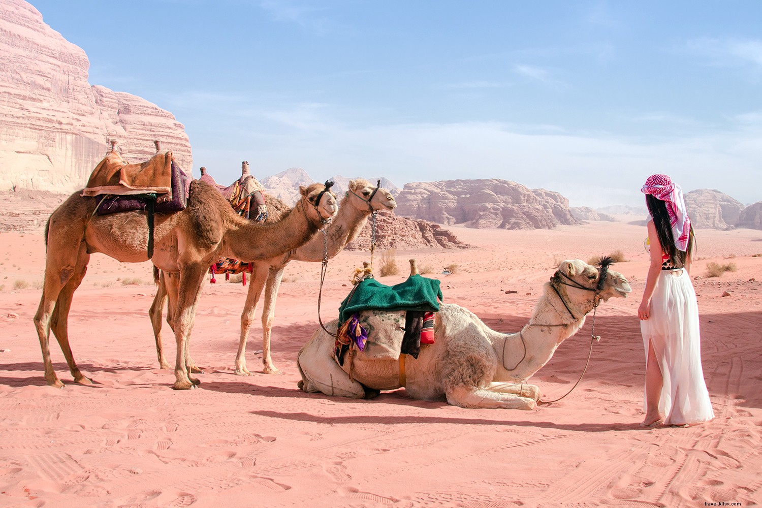 Atlas Ocean Voyages: Pioneering Luxe-Adventure Cruising in a Class of Its Own