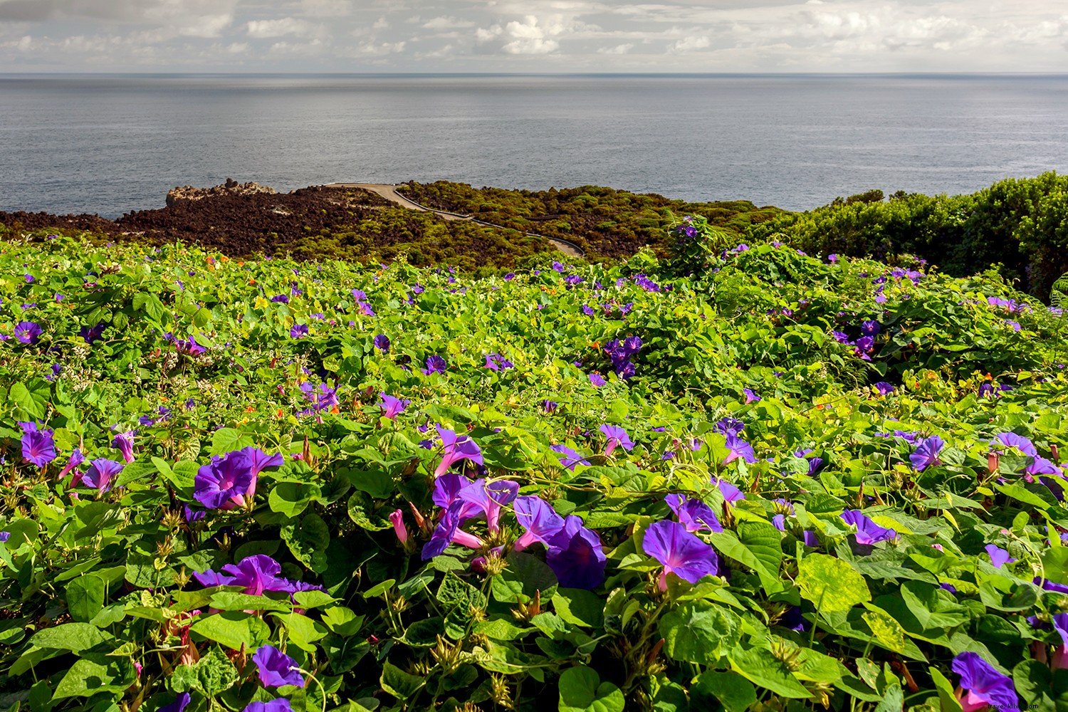 Europe s Closest Gem: Why Terceira Island in the Azores Should Be Your Next Trip