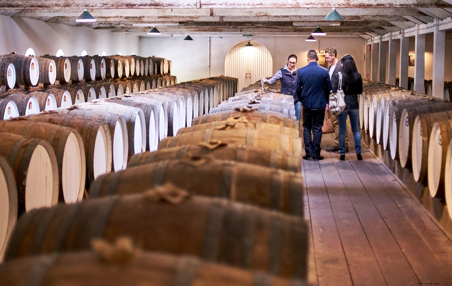 Discover South Australia: Pristine Beaches, World-Class Wines, Iconic Wildlife, and Rugged Outback