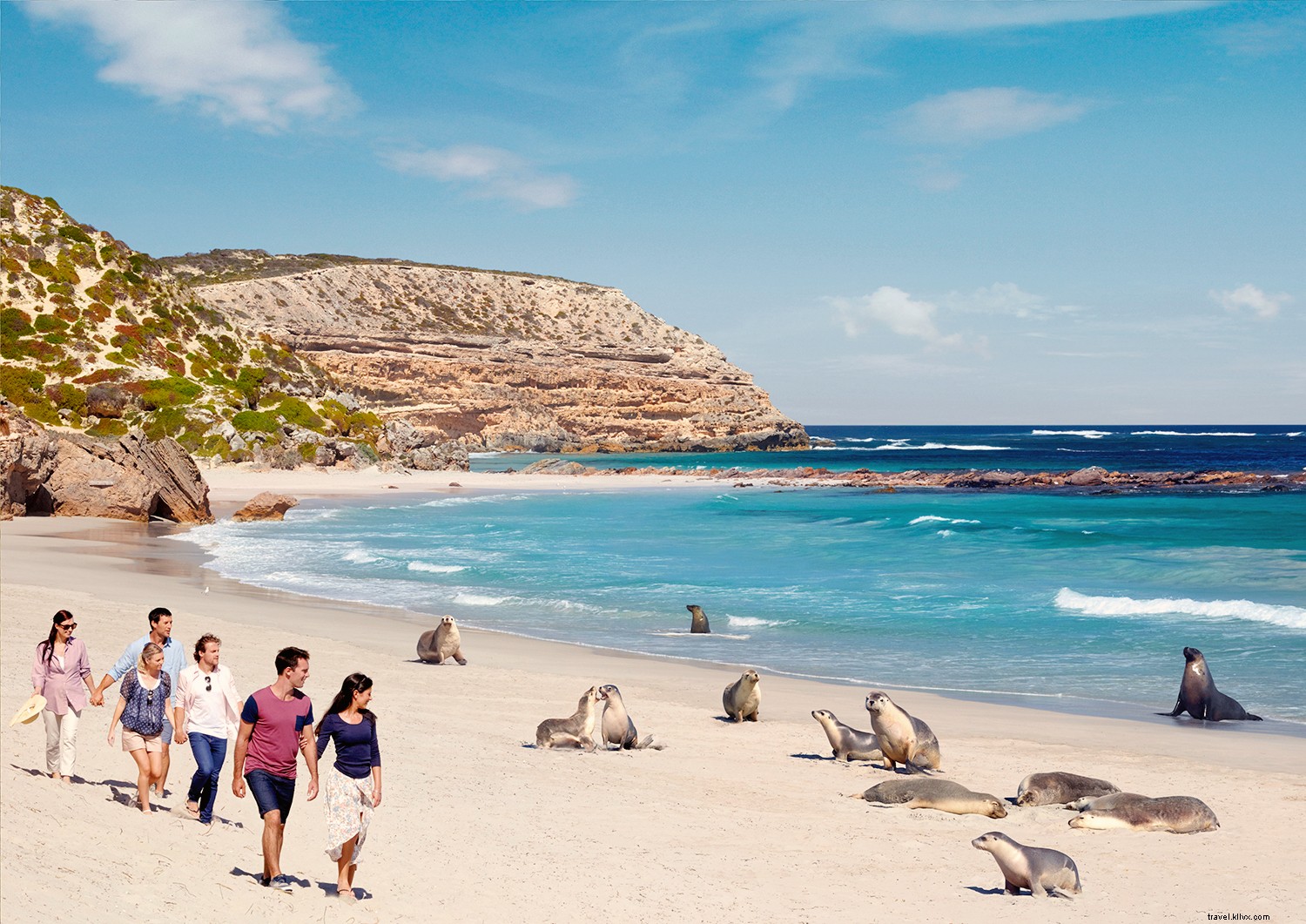 Discover South Australia: Pristine Beaches, World-Class Wines, Iconic Wildlife, and Rugged Outback