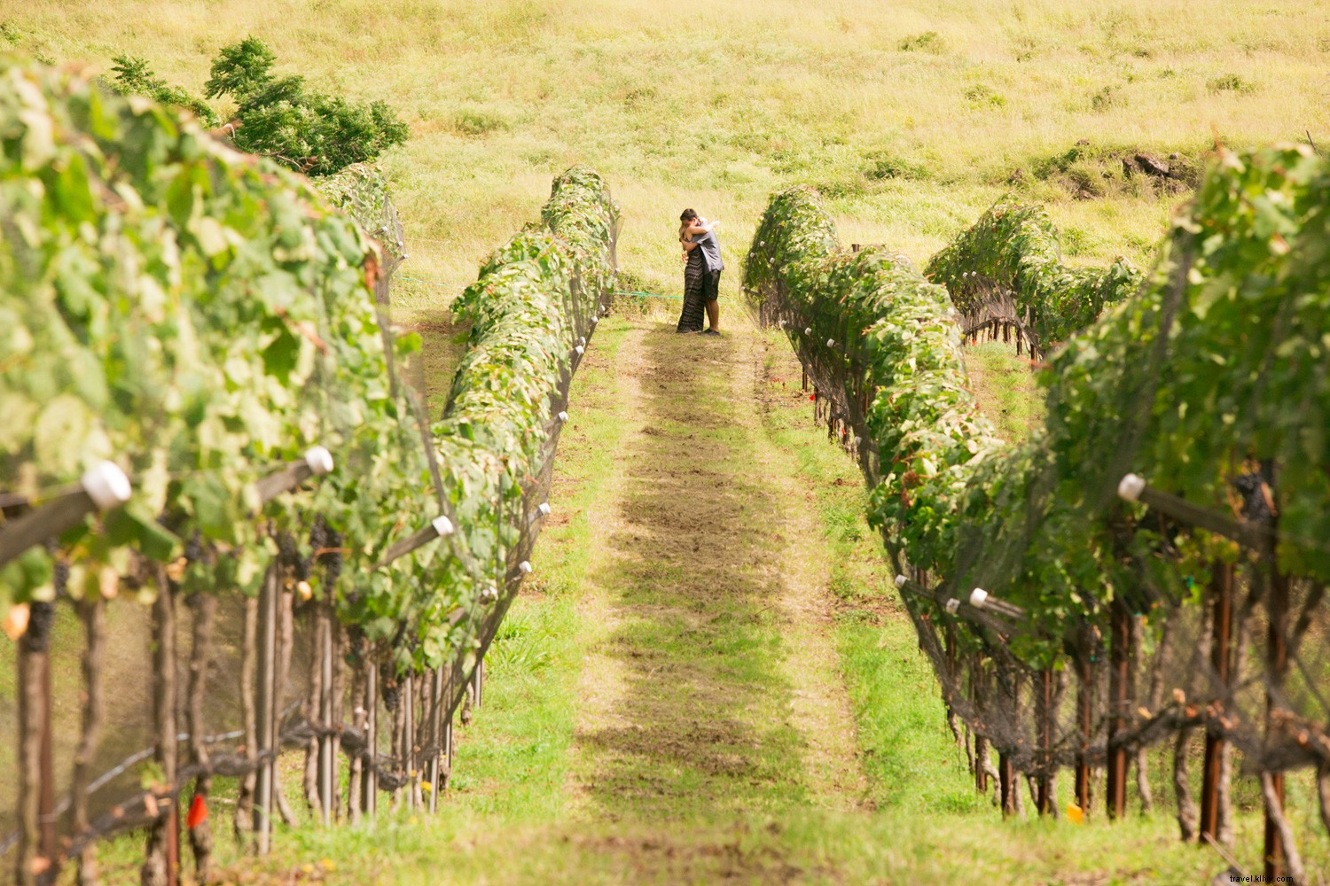 Discover Your Perfect Hawaiian Island: Tailored Paradise for Every Personality