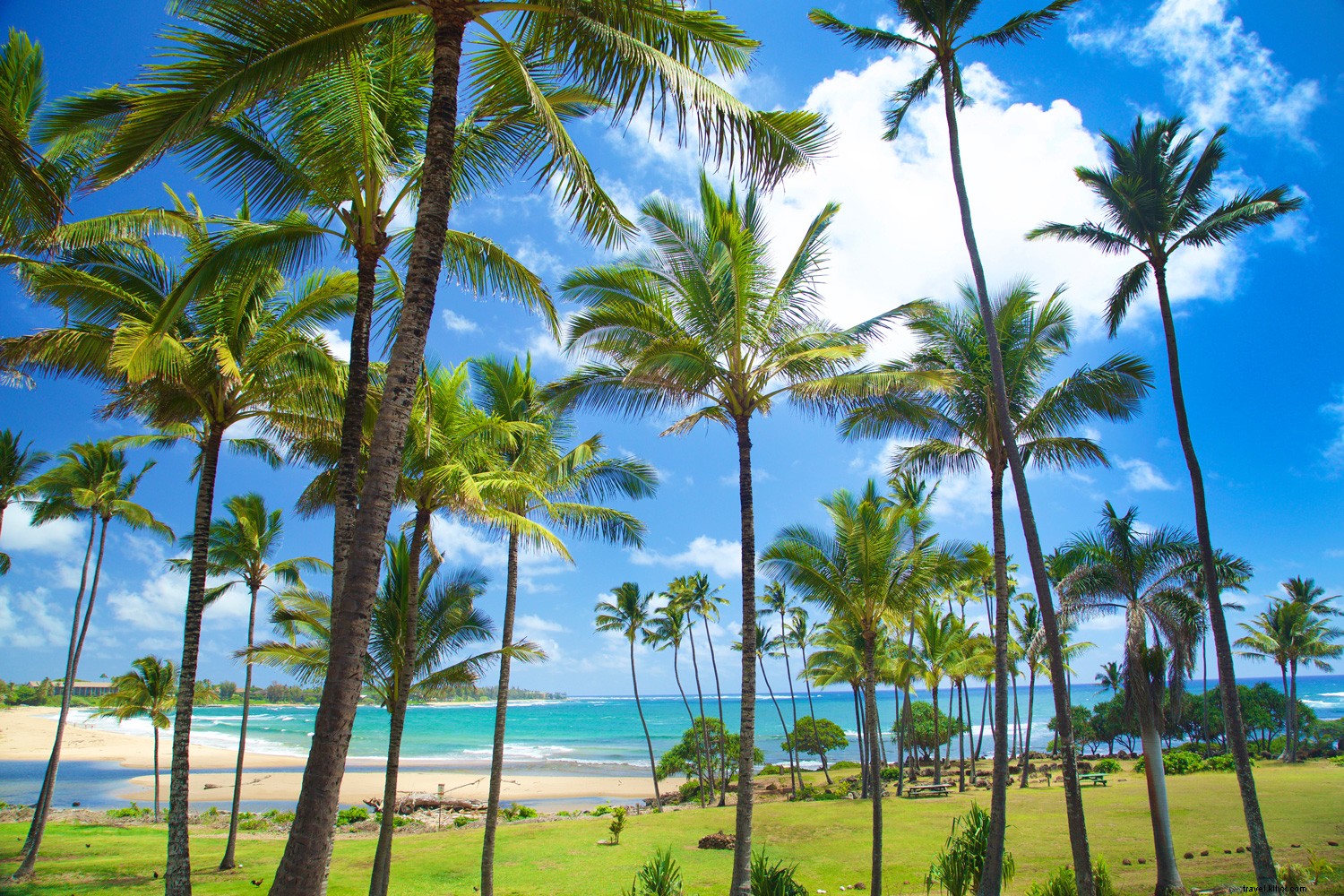 Discover Your Perfect Hawaiian Island: Tailored Paradise for Every Personality