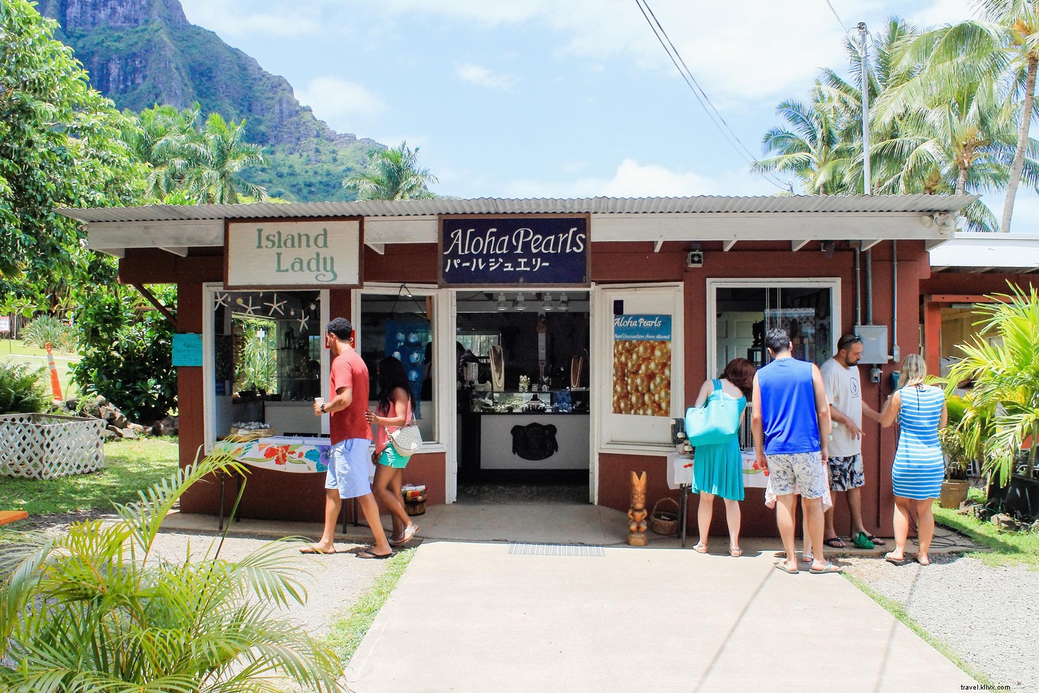 Discover Your Perfect Hawaiian Island: Tailored Paradise for Every Personality