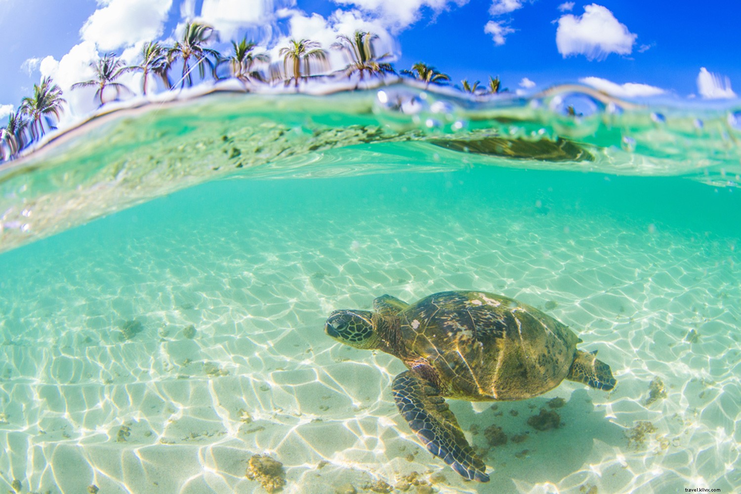 Discover Your Perfect Hawaiian Island: Tailored Paradise for Every Personality