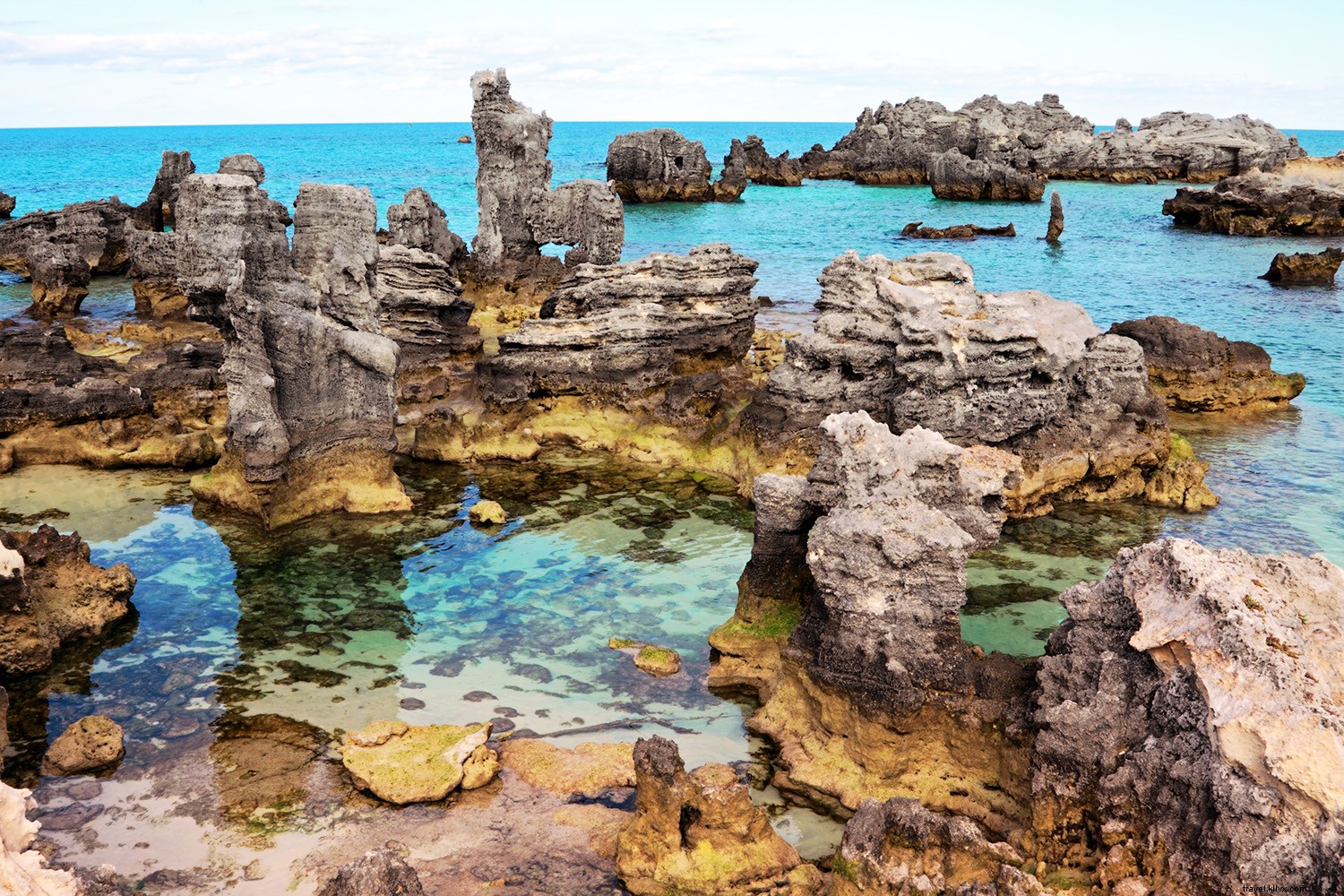 7 Compelling Reasons to Visit Bermuda Right Now