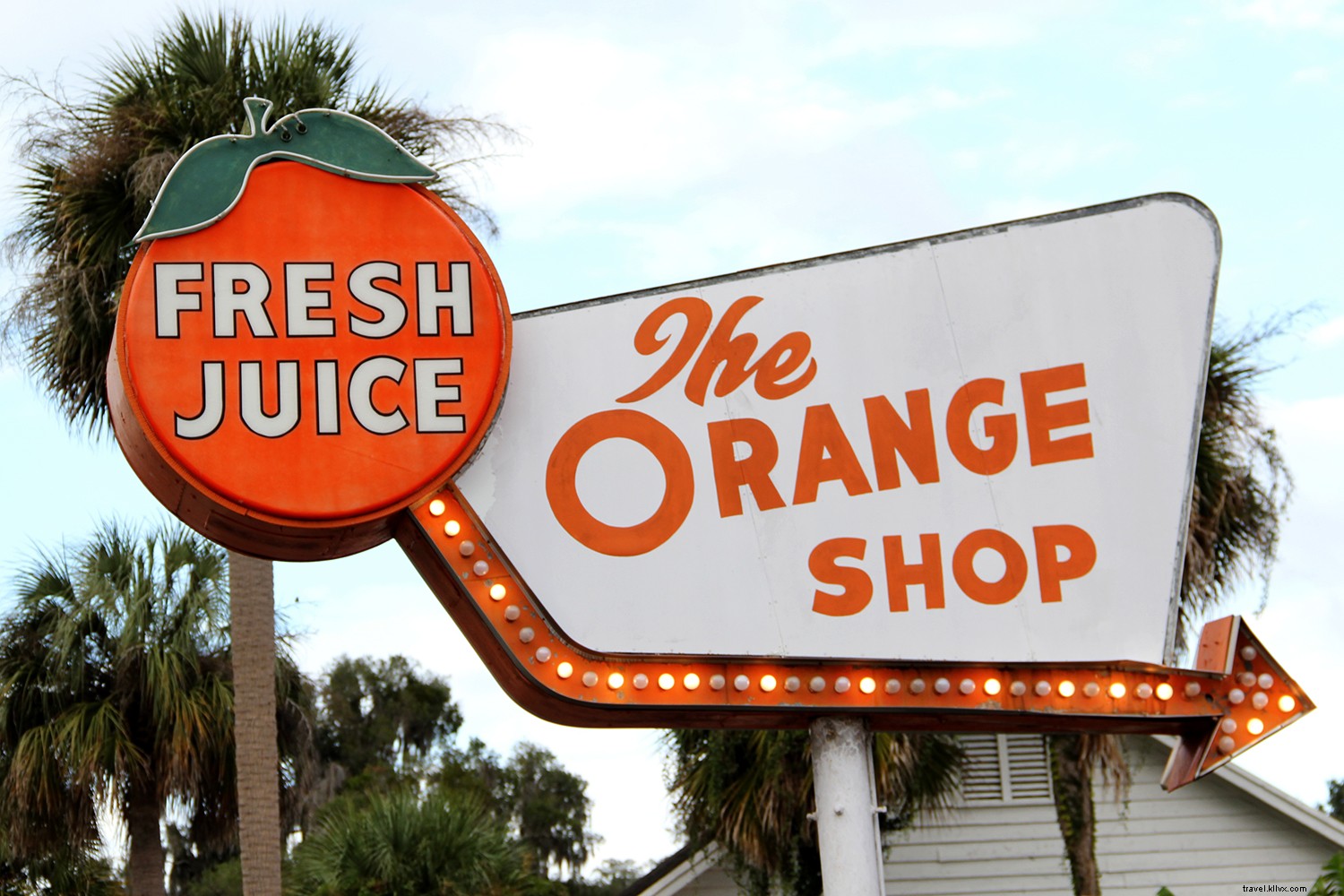 Exit I-75 Here: Discover Ocala/Marion County, Florida s Horse Capital and Adventure Hub