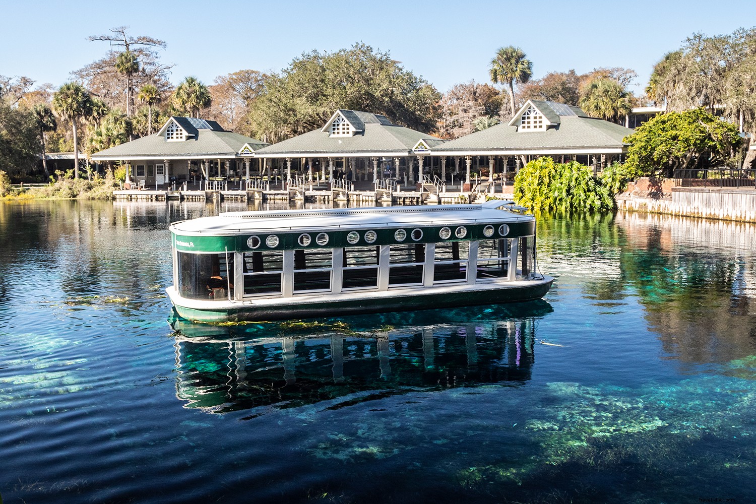 Exit I-75 Here: Discover Ocala/Marion County, Florida s Horse Capital and Adventure Hub