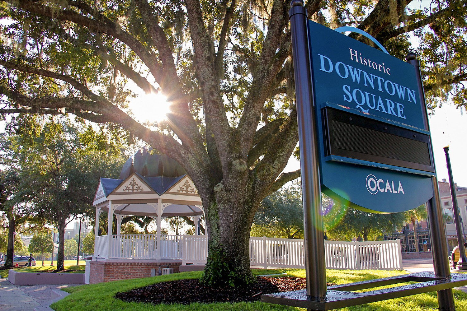 Exit I-75 Here: Discover Ocala/Marion County, Florida s Horse Capital and Adventure Hub