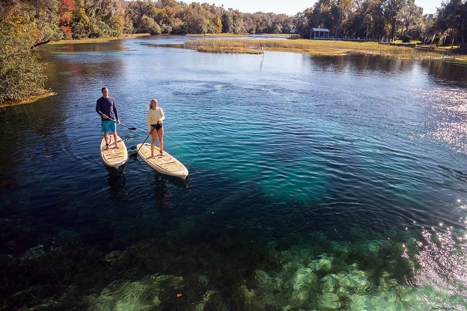 Exit I-75 Here: Discover Ocala/Marion County, Florida s Horse Capital and Adventure Hub