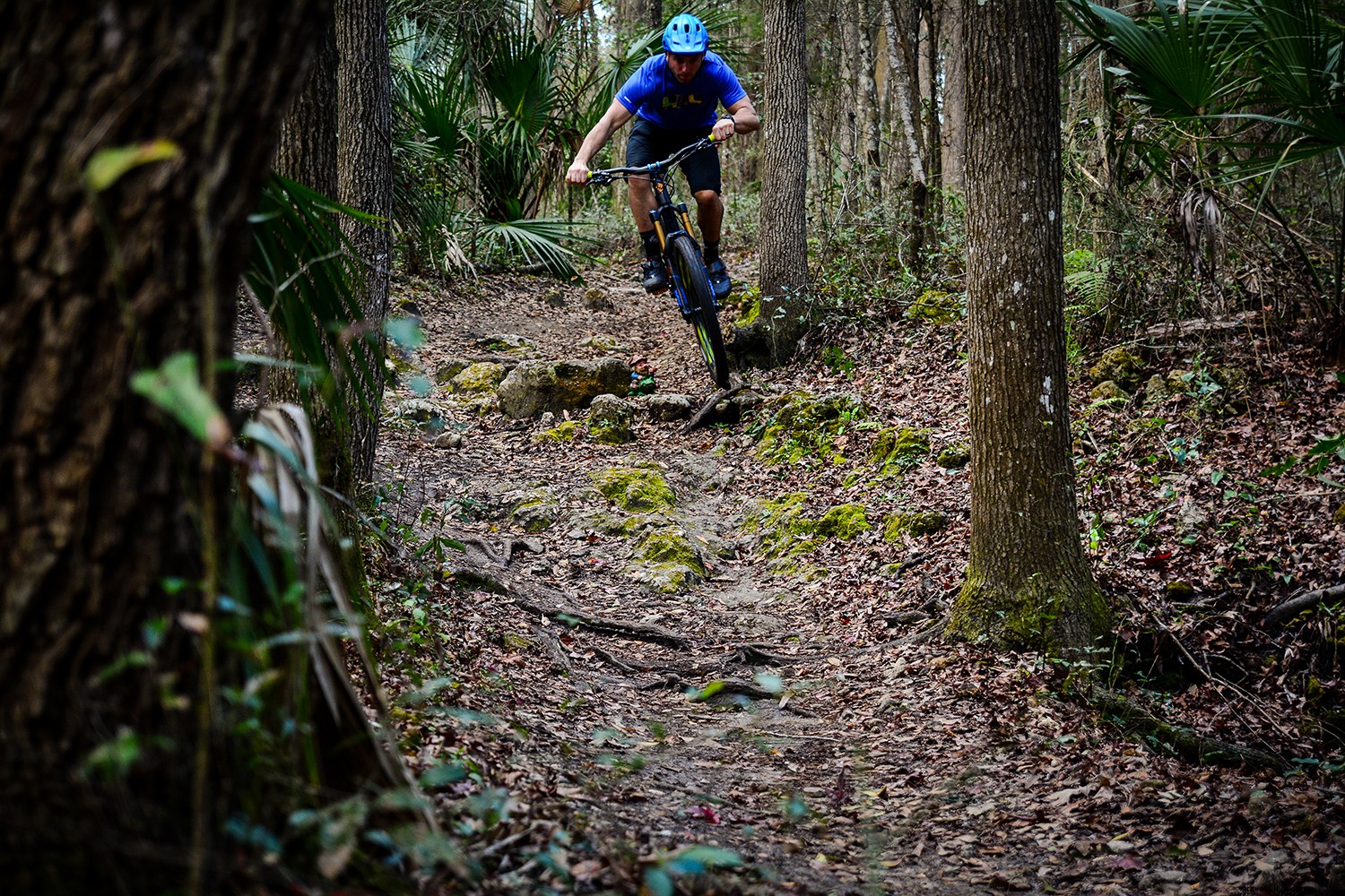 Exit I-75 Here: Discover Ocala/Marion County, Florida s Horse Capital and Adventure Hub