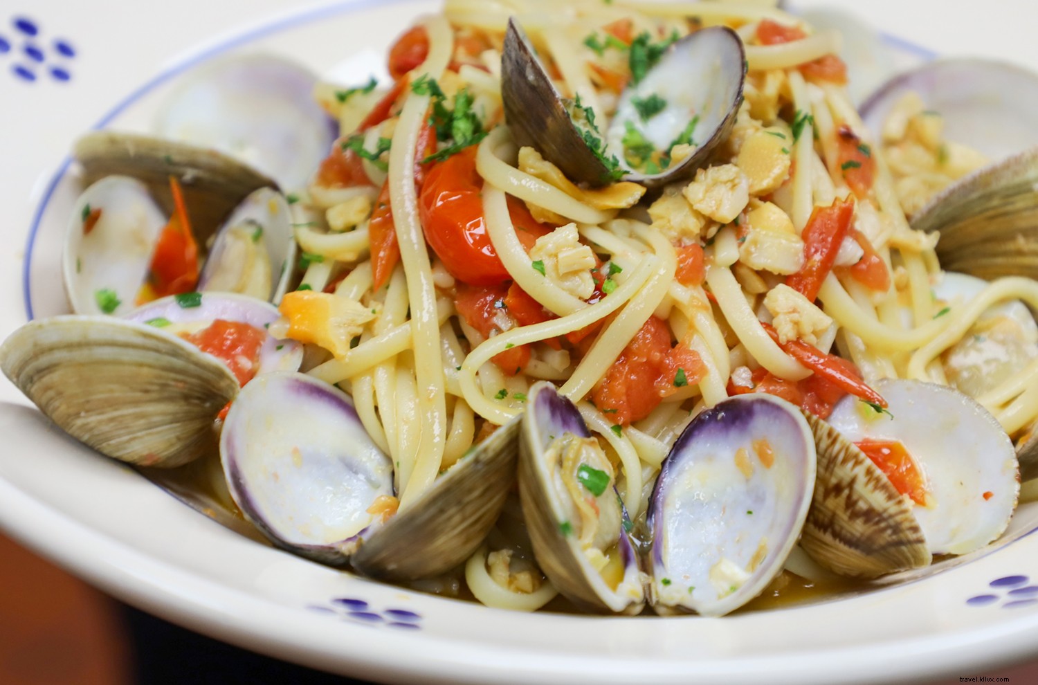 Elevate Your Summer: Why Tampa Bay is Florida s Top Vacation Destination